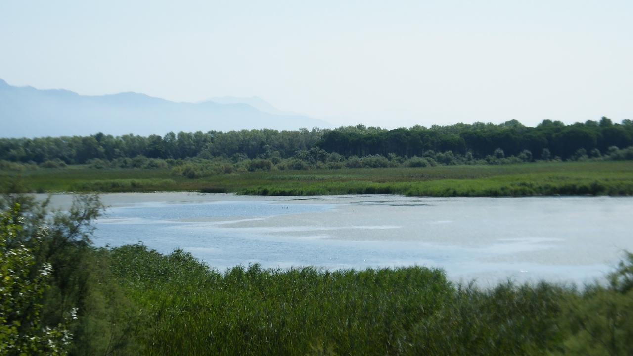 Hotel Aquarius Velipojë Buitenkant foto