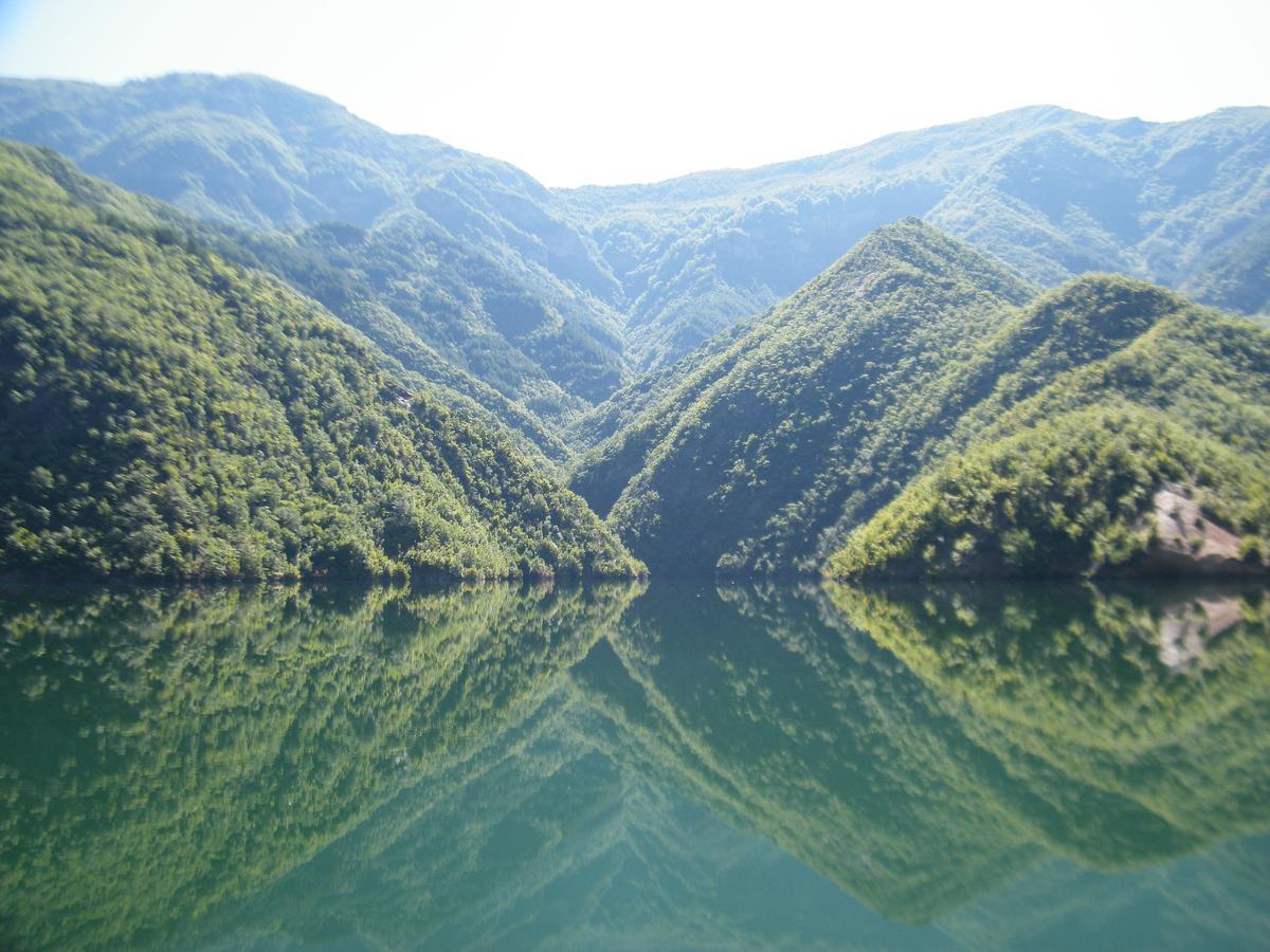 Hotel Aquarius Velipojë Buitenkant foto